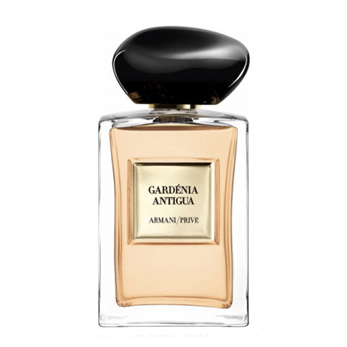 ARMANI/PRIVE - GARDENIA ANTIGUA